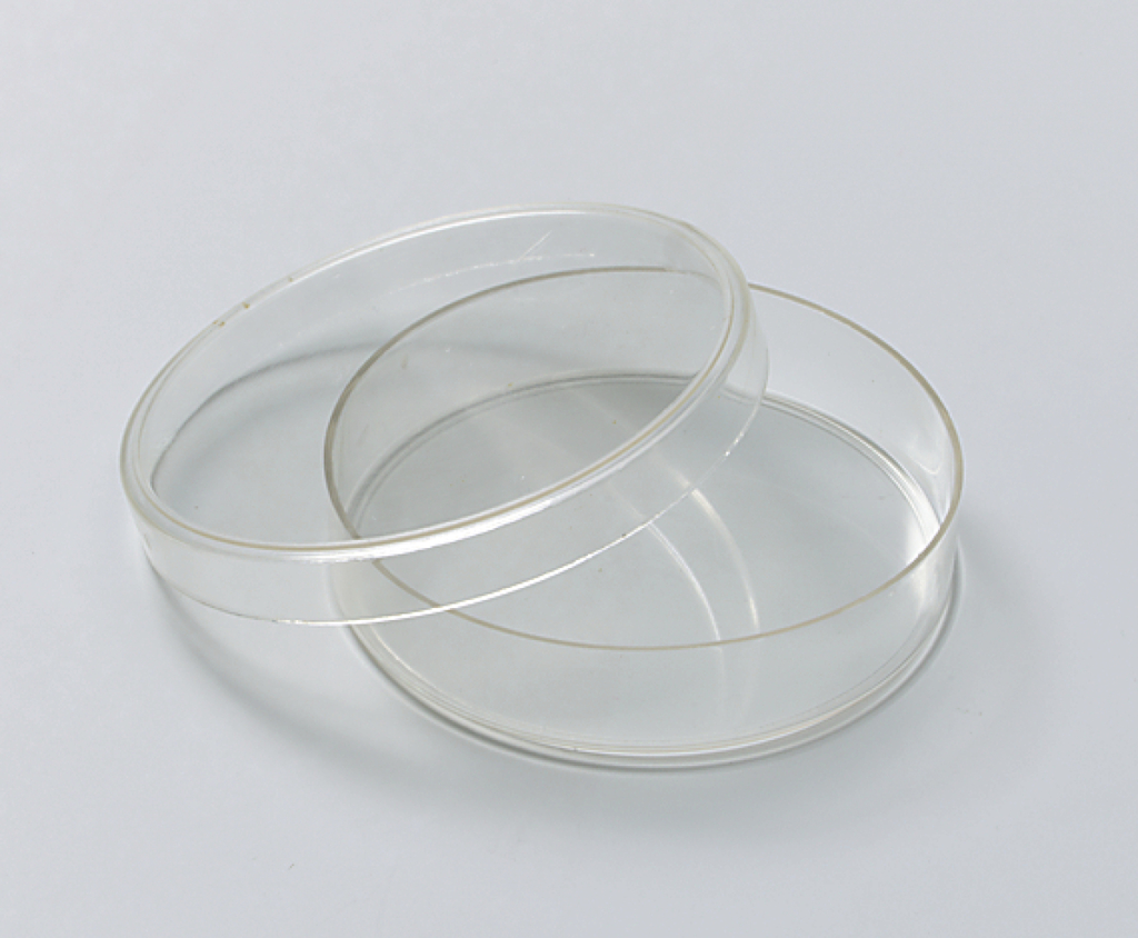 Das Bild zeigt zwei transparente Petrischalen, die übereinander gestapelt sind. Diese Laborgläser werden häufig in Experimenten eingesetzt, um Mikroorganismen oder Zellkulturen zu beobachten und zu züchten.