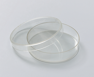 Das Bild zeigt zwei transparente Petrischalen, die übereinander gestapelt sind. Diese Laborgläser werden häufig in Experimenten eingesetzt, um Mikroorganismen oder Zellkulturen zu beobachten und zu züchten.