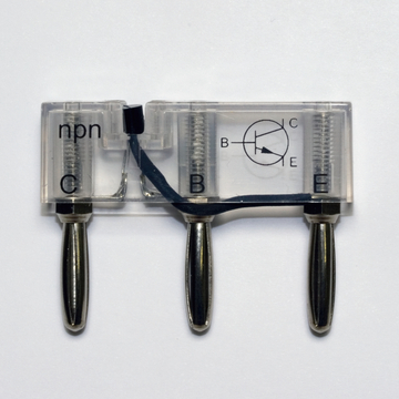 Das Bild zeigt einen NPN-Transistor in einem transparenten Gehäuse mit den Anschlüssen C (Collector), B (Base) und E (Emitter). Eine grafische Darstellung des Transistors ist eingeprägt, was seine Funktion im Experimentieraufbau verdeutlicht.
