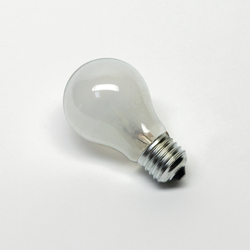 Das Bild zeigt eine transparente Glühbirne mit einem metallenen Schraubsockel. Sie eignet sich für experimentelle Anwendungen im Bildungsbereich, um Konzepte der Elektrizität und Lichttechnik zu demonstrieren.