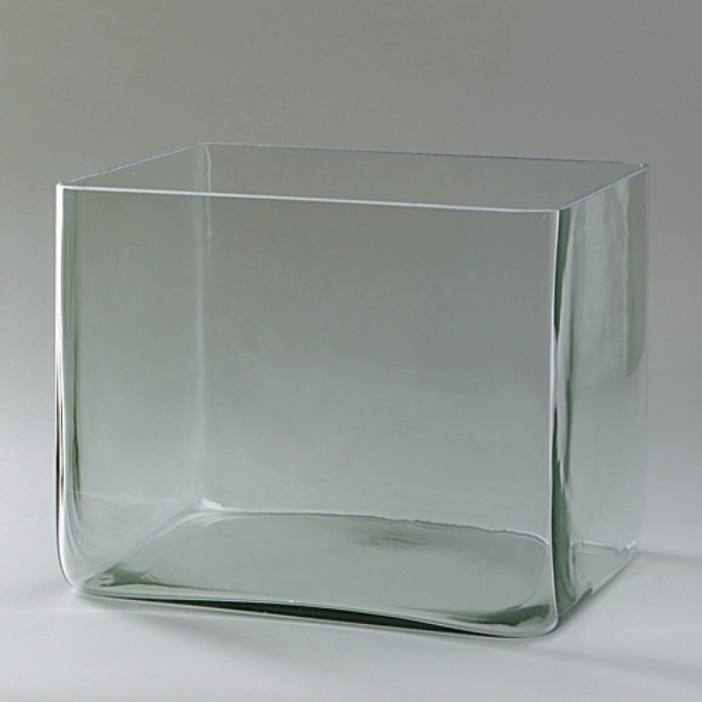 Das Bild zeigt einen transparenten, rechteckigen Behälter aus Glas. Er hat abgerundete Kanten und eignet sich ideal für verschiedene Experimente im Bildungsbereich.
