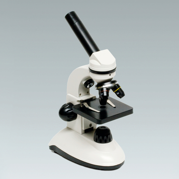 Das Bild zeigt ein Mikroskop, das für Bildungszwecke verwendet wird. Es hat eine robuste Bauweise mit mehreren Objektiven und einer stabilen Basis, ideal für Experimente im Labor.