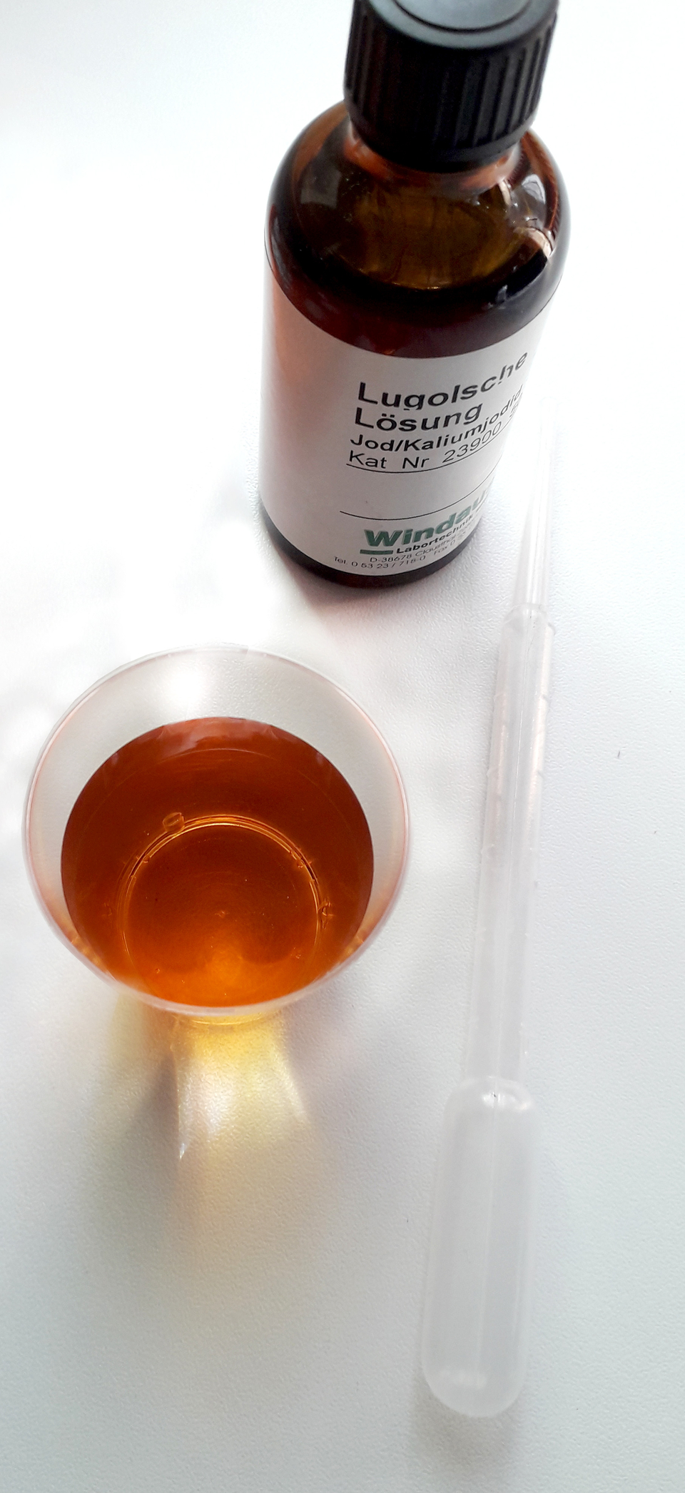 Eine transparente Schale enth&auml;lt eine orange-farbene Fl&uuml;ssigkeit, w&auml;hrend daneben eine Flasche mit der Bezeichnung "Lugol'sche L&ouml;sung" steht. Neben der Flasche liegt eine Pipette, die f&uuml;r wissenschaftliche Experimente verwendet werden kann.